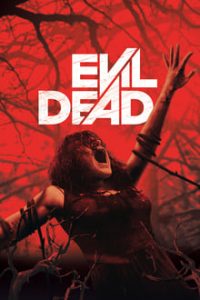 Evil Dead 2013 UNRATED Dual Audio Hindi ORG-English x264 Esub Bluray 480p [222MB] | 720p [902MB] mkv