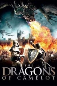 Dragons of Camelot 2014 Dual Audio Hindi 480p BRRip mkv