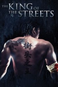The King of the Streets 2012 Dual Audio Hindi 480p BluRay mkv