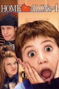 Home Alone 4 (2002) 480p Dual Audio Hindi Dubbed mkv