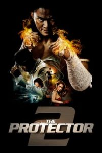 Warrior King 2 (The Protector 2) 2013 Dual Audio Hindi-Thai 480p BluRay mkv