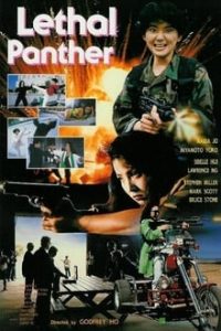 Lethal Panther 1990 Hindi-English Dubbed 480p DVDRip Subs mkv