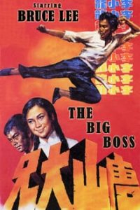 The Big Boss 1971 Dual Audio Hindi 480p BluRay mkv