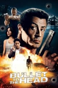 Bullet To The Head 2012 Dual Audio Hindi 480p BluRay mkv