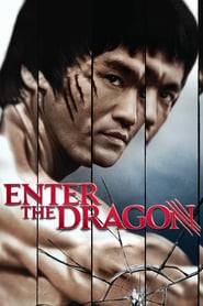 Enter The Dragon 1973 Dual Audio Hindi ORG-English x264 BRRip 480p [233MB] | 720p [922MB] mkv