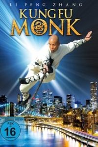 Last Kung Fu Monk 2010 Dual Audio Hindi BRRip 480p mkv