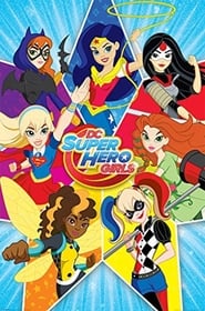 DC Super Hero Girls Super Hero High 2016 Dual Audio Hindi 480p HDTV mkv