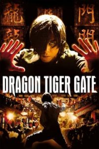 Dragon Tiger Gate 2006 Dual Audio Hindi 480p BRRip mkv