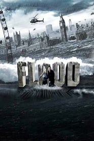 Flood 2007 DVDRip Dual Audio [Eng-Hindi] 480p mkv