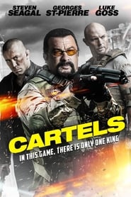 Cartels 2017 Dual Audio Hindi 480p Bluray mkv