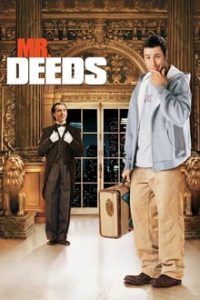 Mr Deeds 2002 Dual Audio Hindi English 480p mkv