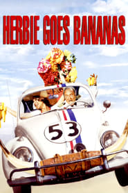 Herbie Goes Bananas 1980 Dual Audio Hindi 480p BluRay mkv