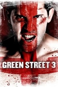 Green Street 3 Never Back Down 2013 Dual Audio Hindi 480p BluRay mkv