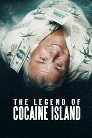 The Legend of Cocaine Island (2018) Hindi Dual Audio Web-DL 480p [287MB] | 720p [731MB]