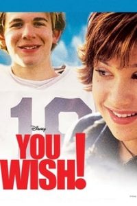 You Wish! (2003) Hindi Dual Audio HDRip 480p [290MB]