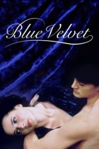 Blue Velvet (1986) Hindi Dual Audio BluRay 480p [380MB] | 720p [913MB]