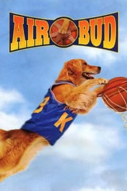 Air Bud (1997) Hindi Dual Audio WEBRip 480p [304MB] | 720p [804]