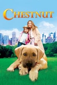 Chestnut Hero of Central Park (2004) Hindi Dual Audio DD2.0 x264 HDTVRip 480p [321MB] | 720p [1.1GB] mkv