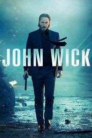 John Wick (2014) Dual Audio Hindi ORG-English Esubs Bluray 480p [332MB] | 720p [827MB] |mkv