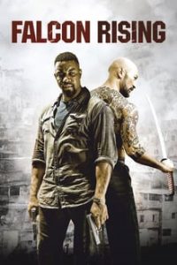 Falcon Rising (2014) Hindi Dual Audio x264 Bluray 480p [387MB] | 720p [771MB] mkv