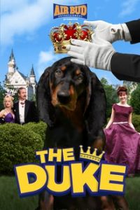 The Duke (1999) Hindi Dual Audio DD2.0 x264 WEBRip 480p [264MB] | 720p [876MB] mkv