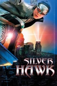 Silver Hawk (2004) Hindi Dual Audio 2.0 x264 BRRip 480p [423MB] | 720p [1.6GB] mkv