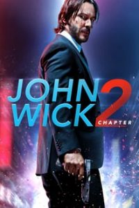 John Wick Chapter 2 (2017) Dual Audio Hindi ORG-English Esubs Bluray 480p [417MB] | 720p [1GB]  MKV