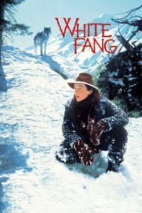 White Fang (1991) Hindi Dubbed 480p WEBRip [339MB] | 720p [795MB] MKV