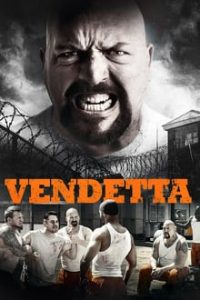 Vendetta (2015) Hindi Dual Audio x264 Bluray 480p [256MB] | 720p [820MB] mkv