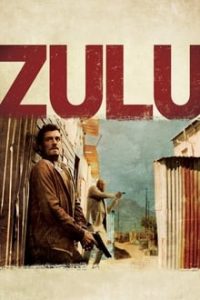 Zulu (2013) Hindi Dual Audio x264 AC3 BRRip 480p [340MB] | 720p [1GB] mkv