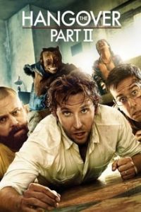 The Hangover Part II (2011) Hindi Dual Audio x264 Bluray 480p [361MB] | 720p [718MB] mkv