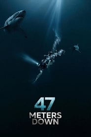47 Meters Down (2017) Hindi-English Dual Audio x264 Bluray 480p [298MB] | 720p [862MB] mkv