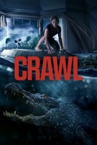 Crawl (2019) English x264 WEB-DL ESubs 480p [283MB] | 720p [760MB] | Horror Movie