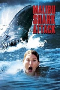 Malibu Shark Attack (2009) Dual Audio Hindi-English Bluray x264 480p [319MB] | 720p [982MB] mkv