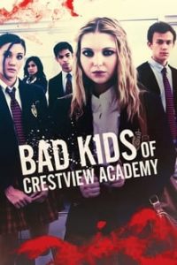 Bad Kids of Crestview Academy (2017) Dual Audio Hindi-English x264 Esub Bluray 480p [281MB] | 720p [798MB] mkv