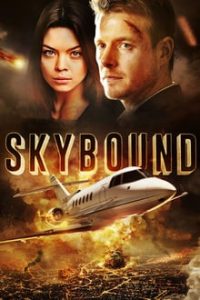 Skybound (2017) Dual Audio Hindi ORG-English x264 Bluray 480p [293MB] | 720p [669MB] mkv