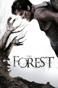 The Forest (2016) Dual Audio Hindi ORG-English Esubs x264 BluRay 480p [318MB] | 720p [844MB] mkv