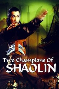 Two Champions of Shaolin (1980) Dual Audio Hindi-English Bluray 480p [367MB] | 720p [1.1GB] mkv