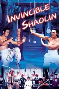 Invincible Shaolin (1978) Dual Audio Hindi-English x264 Bluray Subs 480p [357MB] | 720p [1.3GB] mkv