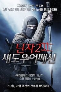 Ninja Shadow of a Tear (2013) Dual Audio Hindi-English Bluray ESubs 480p [336MB] | 720p [792MB] mkv