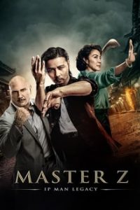 Master Z The Ip Man Legacy (2018) Dual Audio Hindi-Chinese Bluray 480p [386MB] | 720p [1GB] mkv