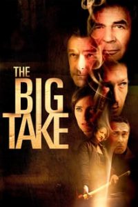 The Big Take (2018) Dual Audio Hindi-English x264 WEB-DL 480p [241MB] | 720p [697MB] mkv