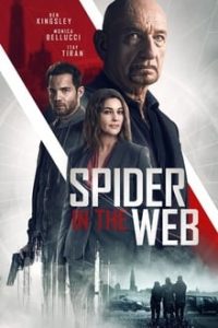 Spider in the Web (2019) Dual Audio Hindi-English x264 HDRip 480p [358MB] | 720p [999MB] mkv