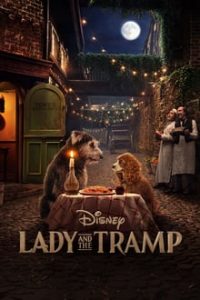 Lady and the Tramp (2019) Dual Audio Hindi-English x264 WEB-DL 480p [369MB] | 720p [915MB] mkv