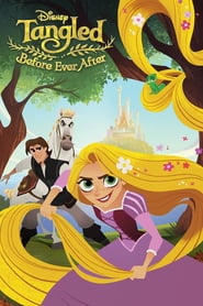 Tangled Before Ever After 2017 Dual Audio Hindi-English HDRip 480p [192MB] | 720p [608MB] mkv