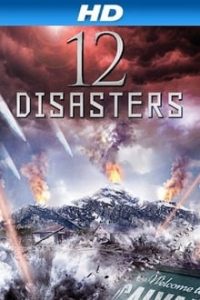 The 12 Disasters of Christmas (2012) x264 Dual Audio Hindi-English Bluray 480p [294MB] | 720p [1.2GB] mkv