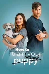 How to Train Your Husband (2018) Dual Audio [Hindi-English] WEBRip 480p [304MB] | 720p [1GB] mkv