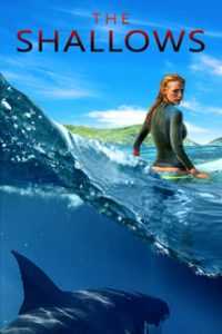 The Shallows 2016 Hindi-English Dual Audio BRRip 480p 720p ESubs mkv