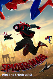 Spider-Man Into the Spider-Verse 2018 Dual Audio Hindi ORG-English BluRay 480p 720p ESubs mkv