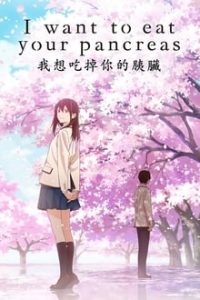 I Want to Eat Your Pancreas (2018) Hindi Dubbed x264 Bluray 480p [293MB] | 720p [495MB] mkv